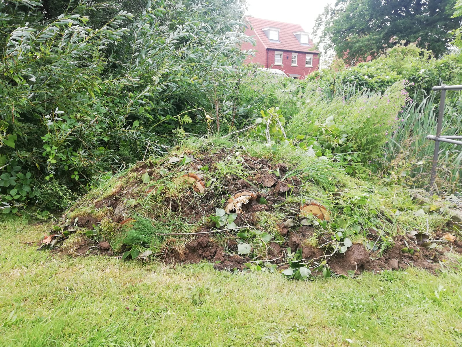 Hibernaculum, Open Space Management