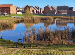 SUDS in Derbyshire development managed by Meadfleet