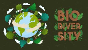 Biodiversity