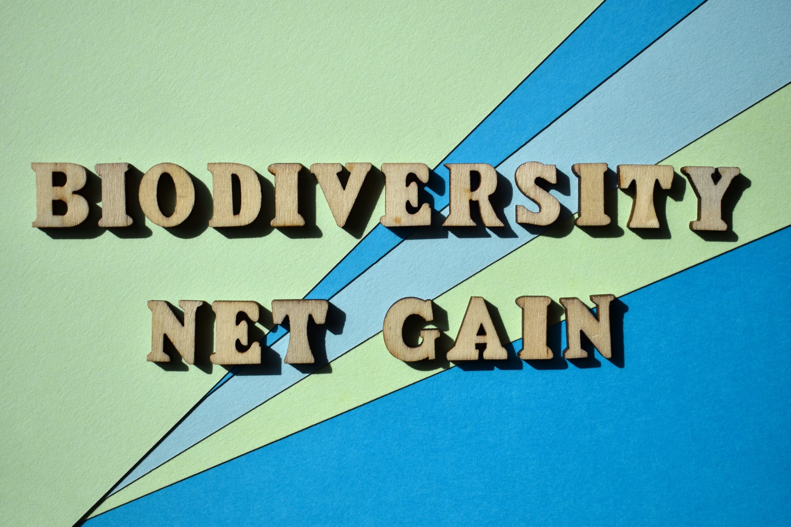 Biodiversity Net Gain
