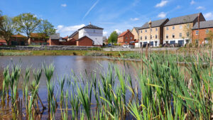 SuDS Management
